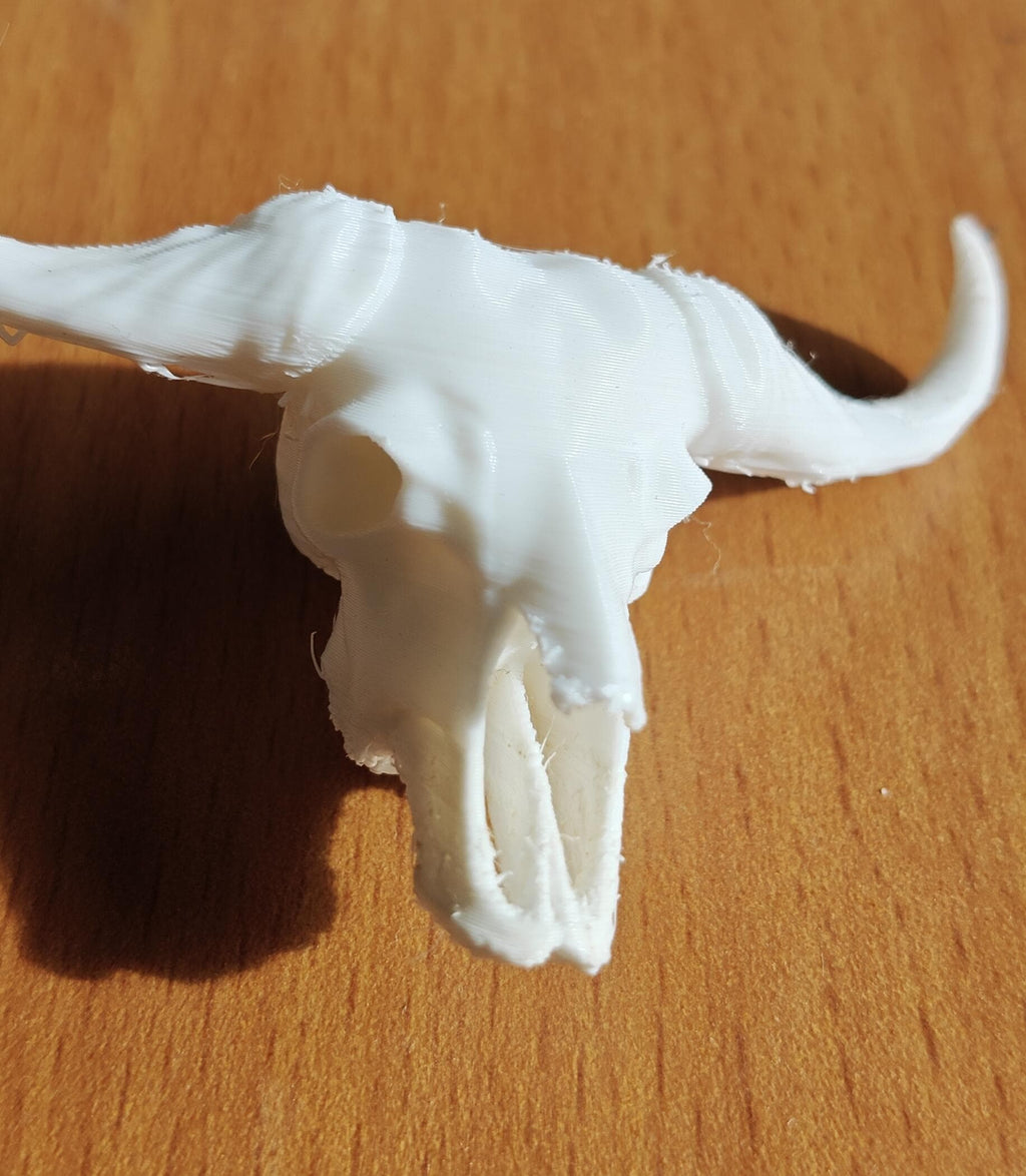 Buffalo Skull Sculpture | American Bison Skeletal Decor (175mm or 250mm)