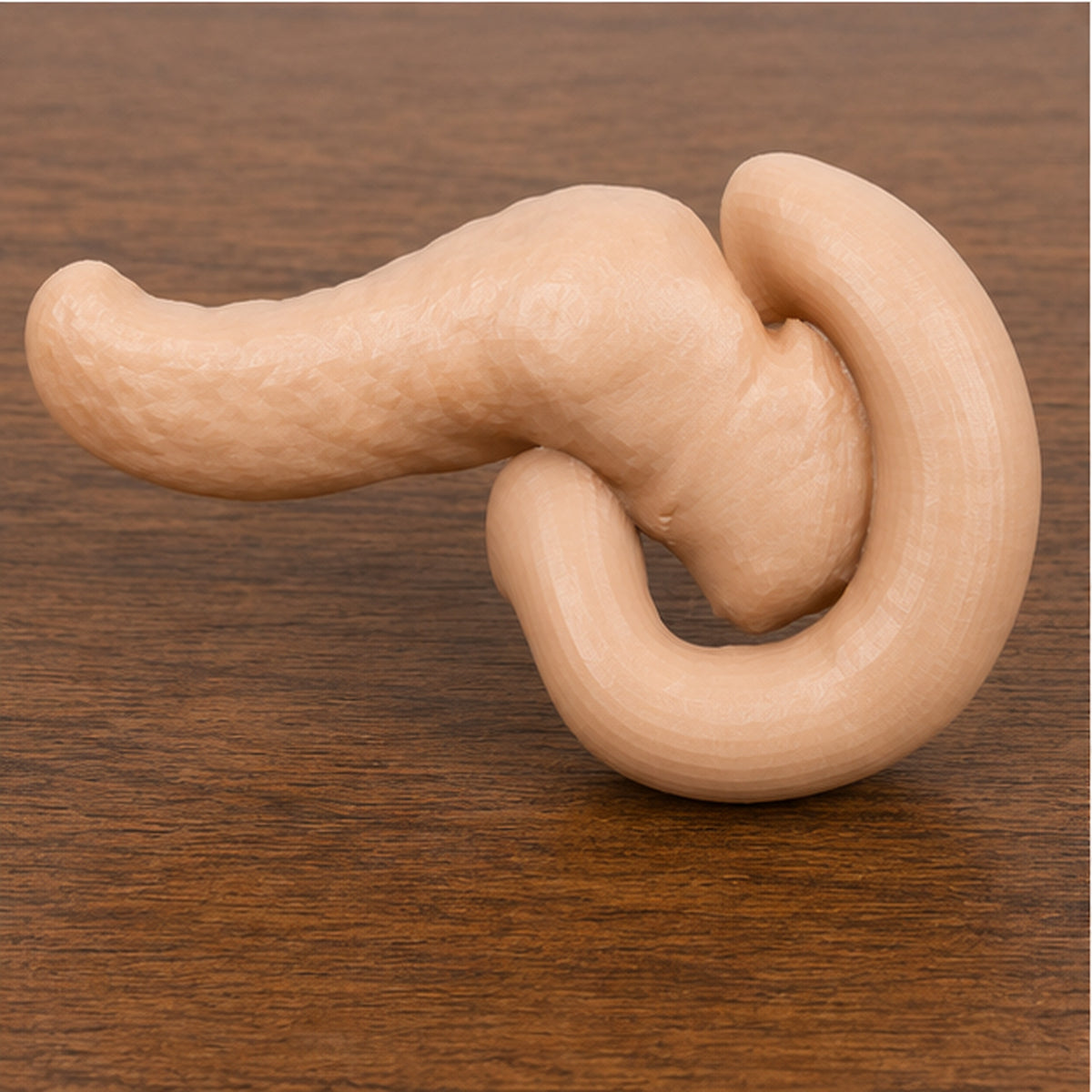 Anatomical Human Pancreas Model | Endocrine and Digestive Gland | Gastroenterology & Endocrinology Consultation Tool | 175mm or 245mm