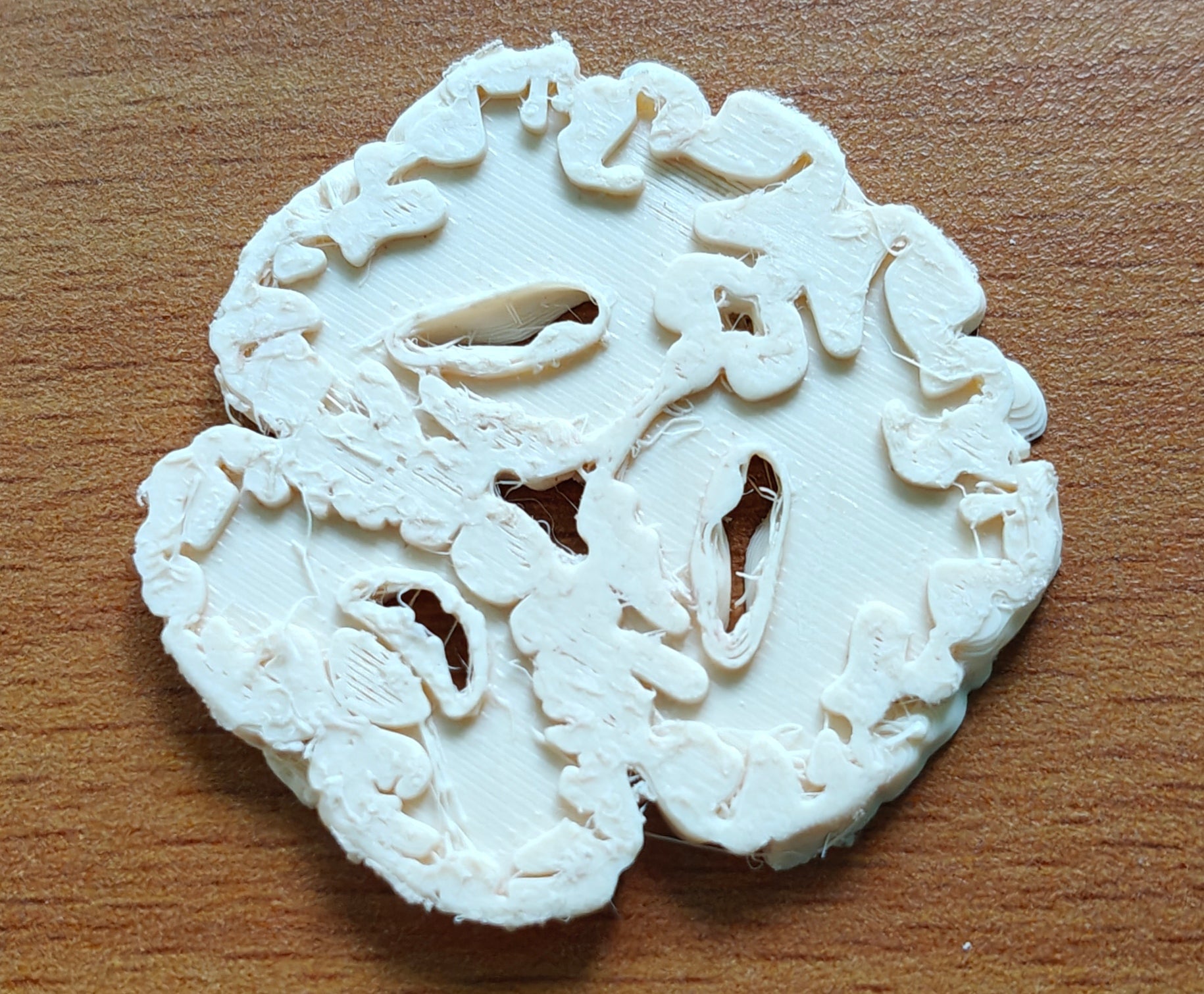Anatomical Human Brain Cross-Section Model | Coronal and Sagittal Brain Anatomy | Neurology Classroom Display & Neurosurgeon Office Gift