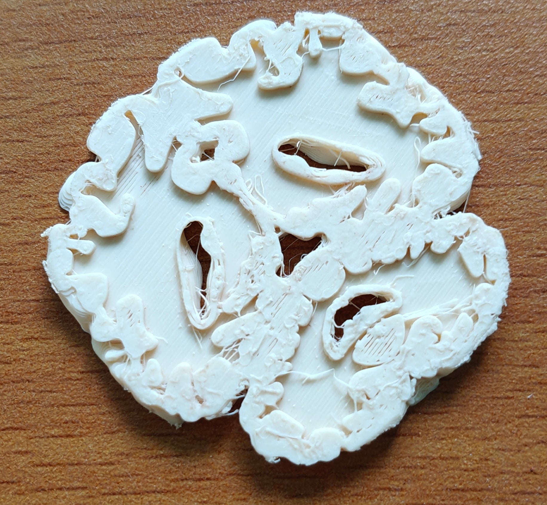 Anatomical Human Brain Cross-Section Model | Coronal and Sagittal Brain Anatomy | Neurology Classroom Display & Neurosurgeon Office Gift