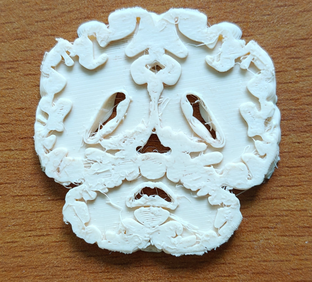 Anatomical Human Brain Cross-Section Model | Coronal and Sagittal Brain Anatomy | Neurology Classroom Display & Neurosurgeon Office Gift