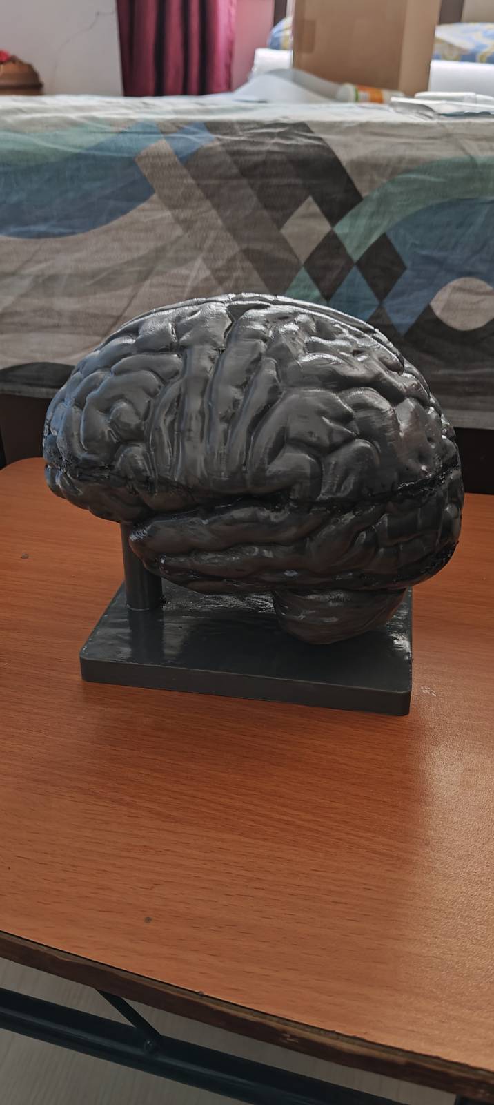 The Neurology Kit - Complete Brain Part | Brain, Neuron, Coronal and Sagittal Section | Neurologist, Neurosurgeon & Psychology Lab Display | 175mm or 245mm